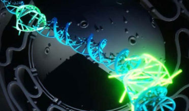 Four strands of DNA discovered in healthy human for the first time